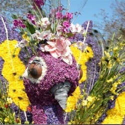 Keukenhof & Flower Parade: Day Tour from Amsterdam + Lunch