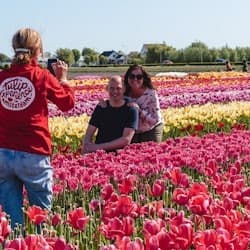 Keukenhof & Tulip Experience: Entry Ticket + Transfer + Coffee or Tea