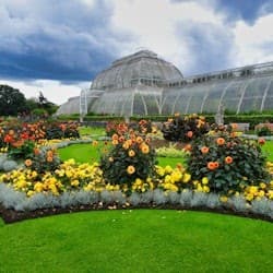 Kew Gardens + Kensington Palace: Entry Ticket