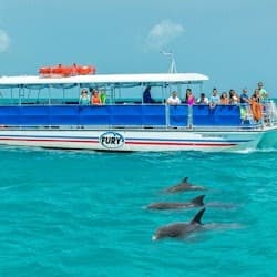 Key West: Dolphin Watching Eco Tour