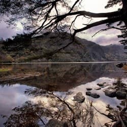 Kilkenny, Wicklow Mountains & Glendalough: Day Tour from Dublin