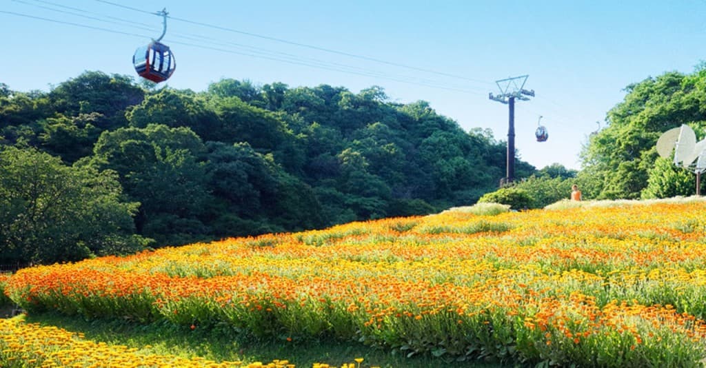 Kobe Nunobiki Herb Gardens and Ropeway Cable Car (Kobe Nunobiki Herb Gardens Admission + Ropeway Cable Car Ride)