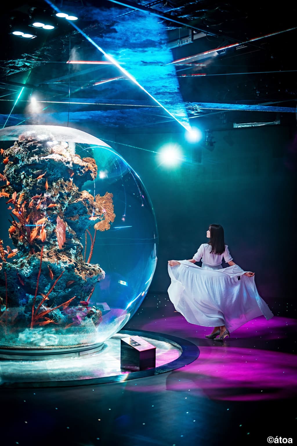 Kobe Urban AQUARIUM×ART atoa (Kobe Urban AQUARIUM×ART atoa - Admission)