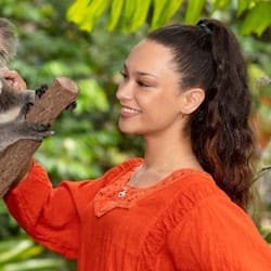 Kuranda Koala Gardens & Birdworld Kuranda: Entry Ticket