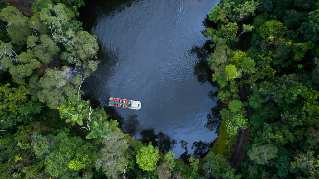 Kuranda Rainforestation Nature Park Full-Day Tour from Cairns