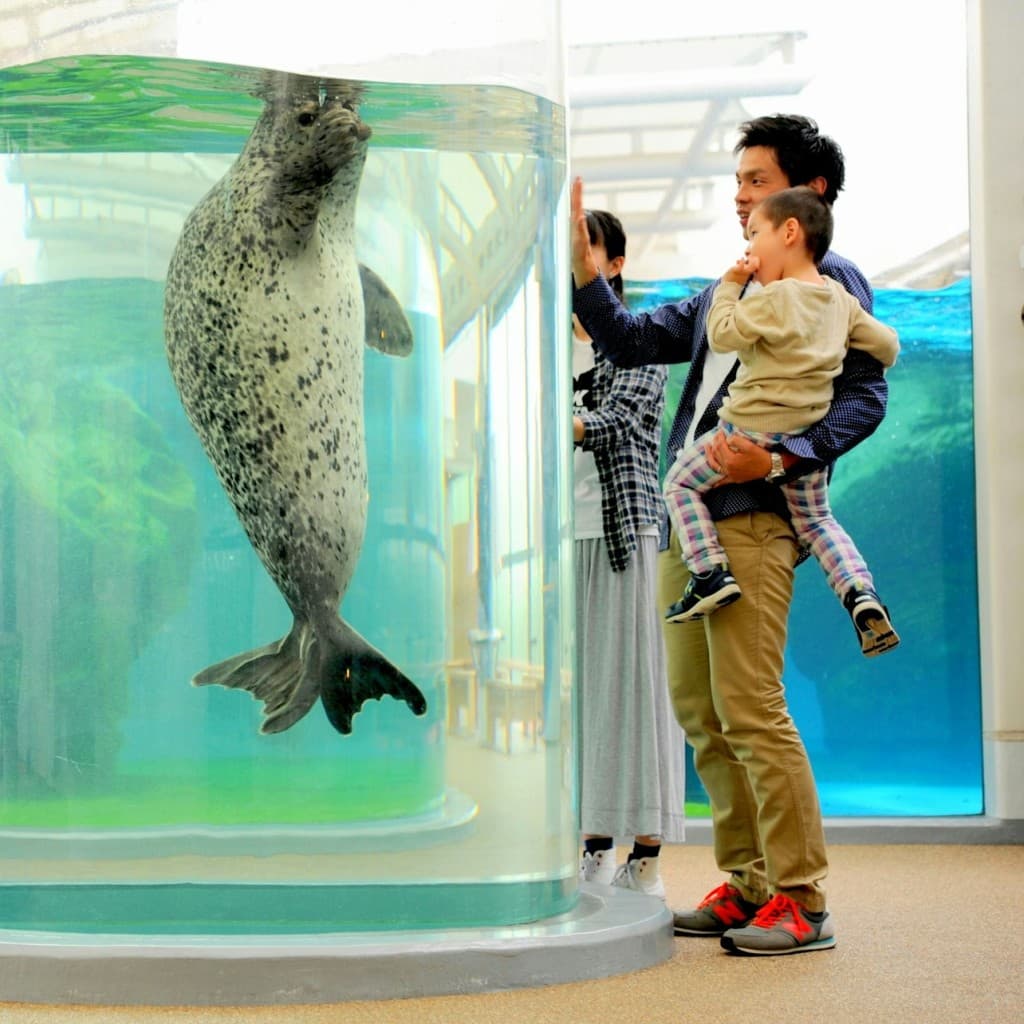 Kyoto Aquarium: Entry Ticket