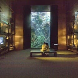 La Cité de la Mer: Entry Ticket + Audio Guide