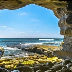 La Jolla Cove: Self-Guided Driving Tour