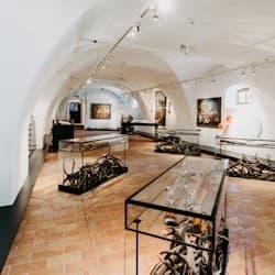 Lackenbach Palace Museum: Entry Ticket