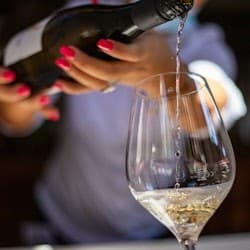 Lisbon: Guided Wine Tasting Experience