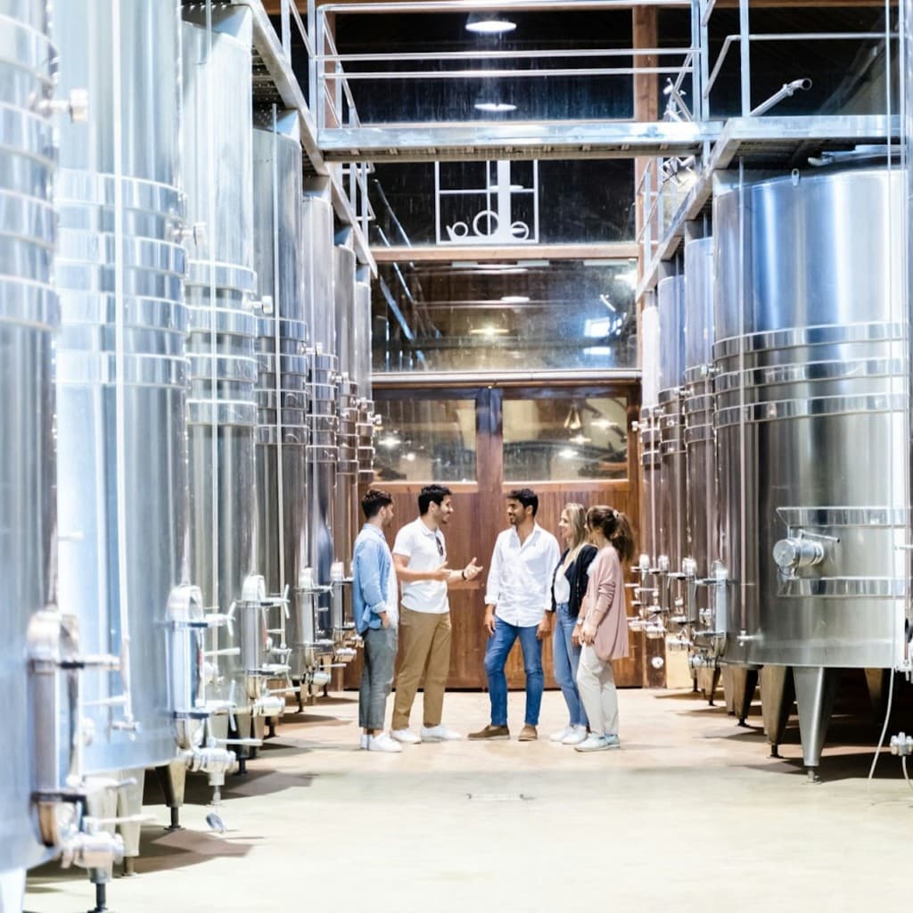 Lisbon: Guided Wine Tour & Tasting + 4WD Jeep Vineyards Experience