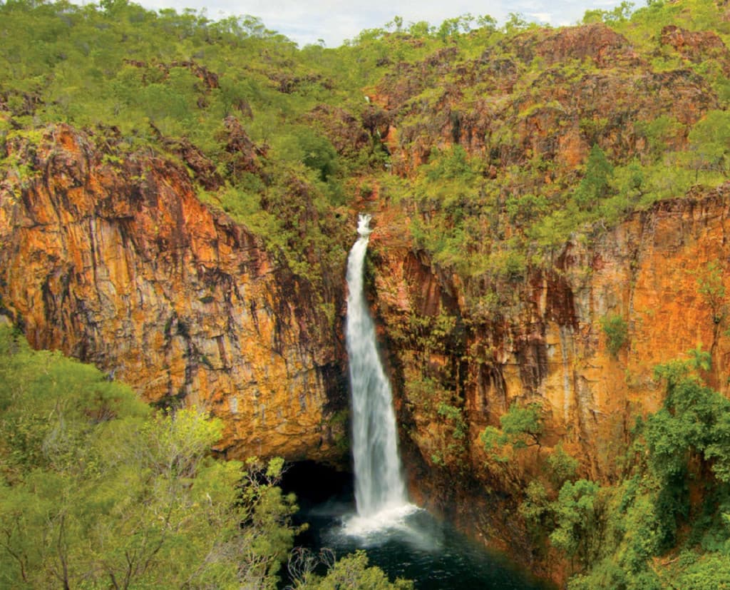Litchfield National Park and Waterfalls Tour from Darwin (Litchfield National Park and Waterfalls Tour)