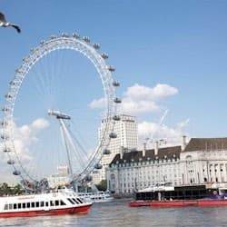 London: Harry Potter Sights Walking Tour + River Cruise + London Eye