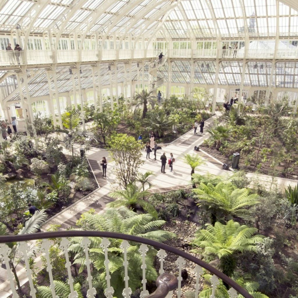 London: Westminster Guided Walking Tour + Kew Gardens Entry