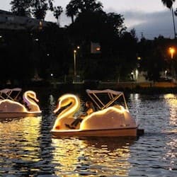 Long Beach: Swan Boat Rental at Rainbow Lagoon