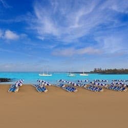 Los Cristianos: Full-Day Tour + Roundtrip Transfer