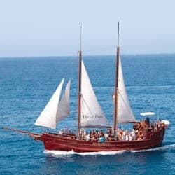 Los Cristianos: Guided Whale Watching Cruise