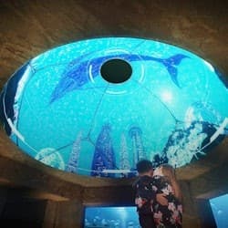 Lost World Aquarium: Entry Ticket + Behind-the-Scenes Tour