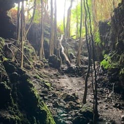 Luxury Private Full-Day Maui Tour