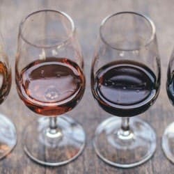 Madrid: Guided Wine, Tapas, and Olive Oil Tasting Experience