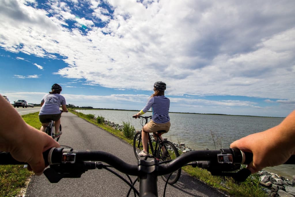 Manly Beach Cycling Tour with Sunset Cruise (Manly Beach and Sunset Cruise Cycle Tour (Summer Season))