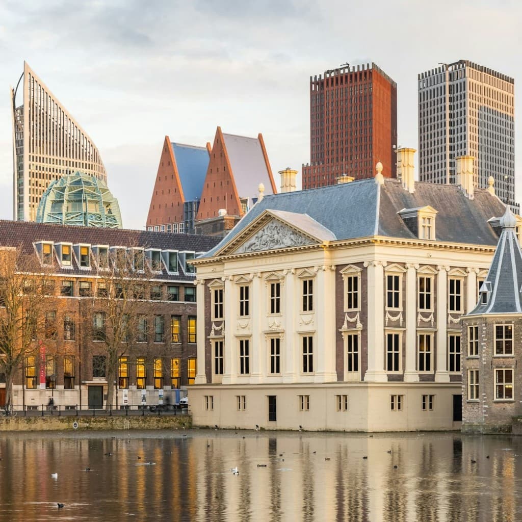 Mauritshuis Museum + Escher in The Palace