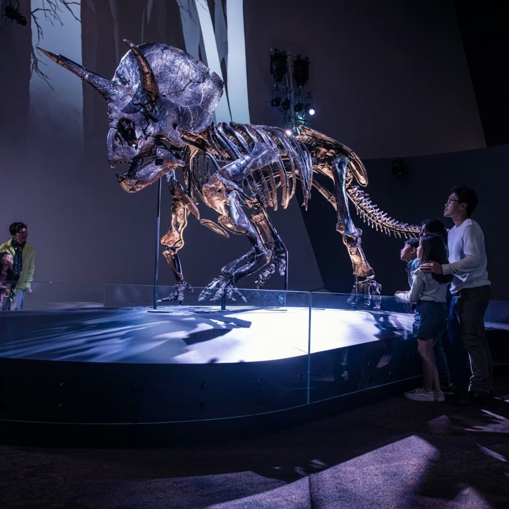 Melbourne Museum: Entry Ticket