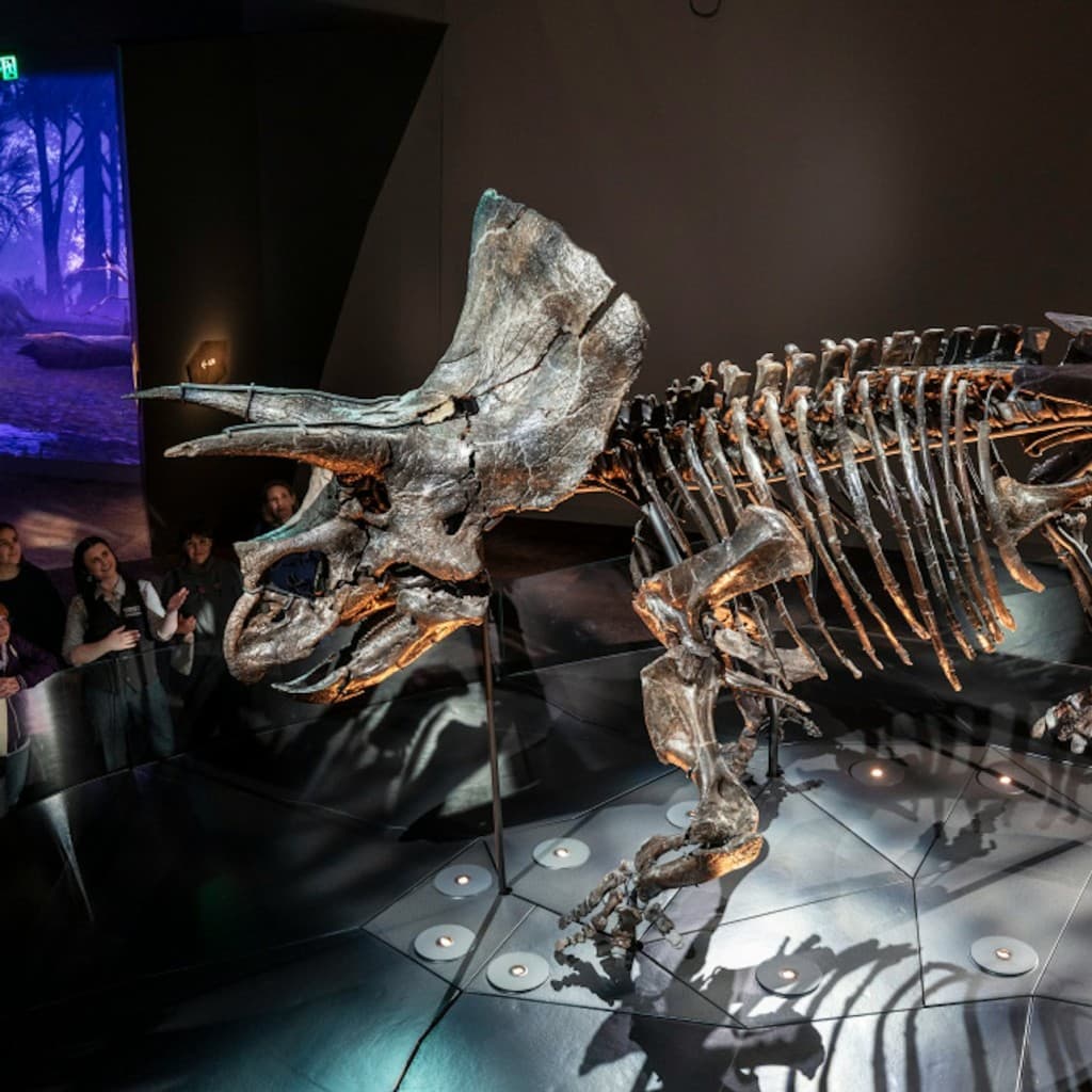Melbourne Museum: Home of Dinosaurs Guided Tour