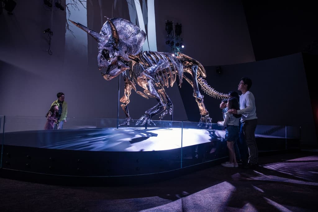 Melbourne Museum (Melbourne Museum - Admission)