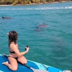 Miami: Nature & Island Exploration on SUP/Kayak