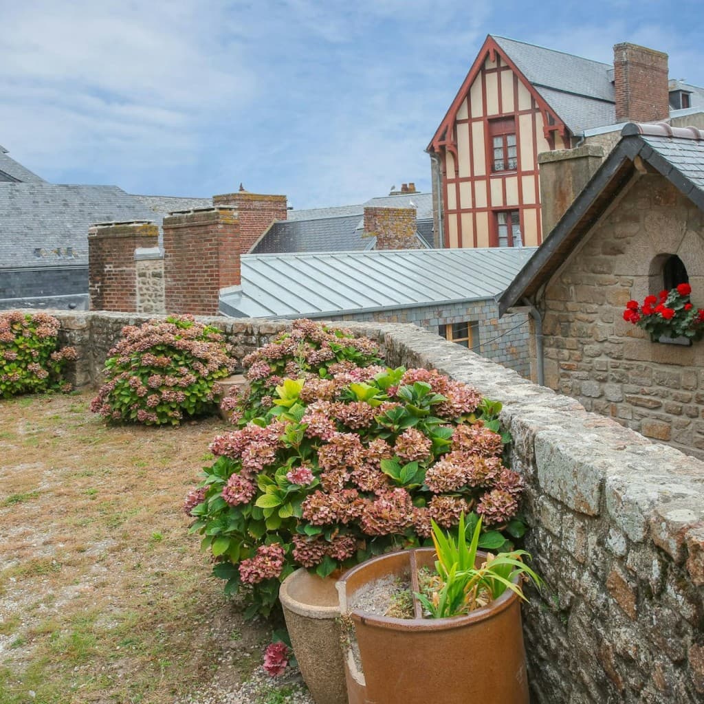Mont Saint-Michel: Entry Ticket and Guided Tour + Transport from Paris