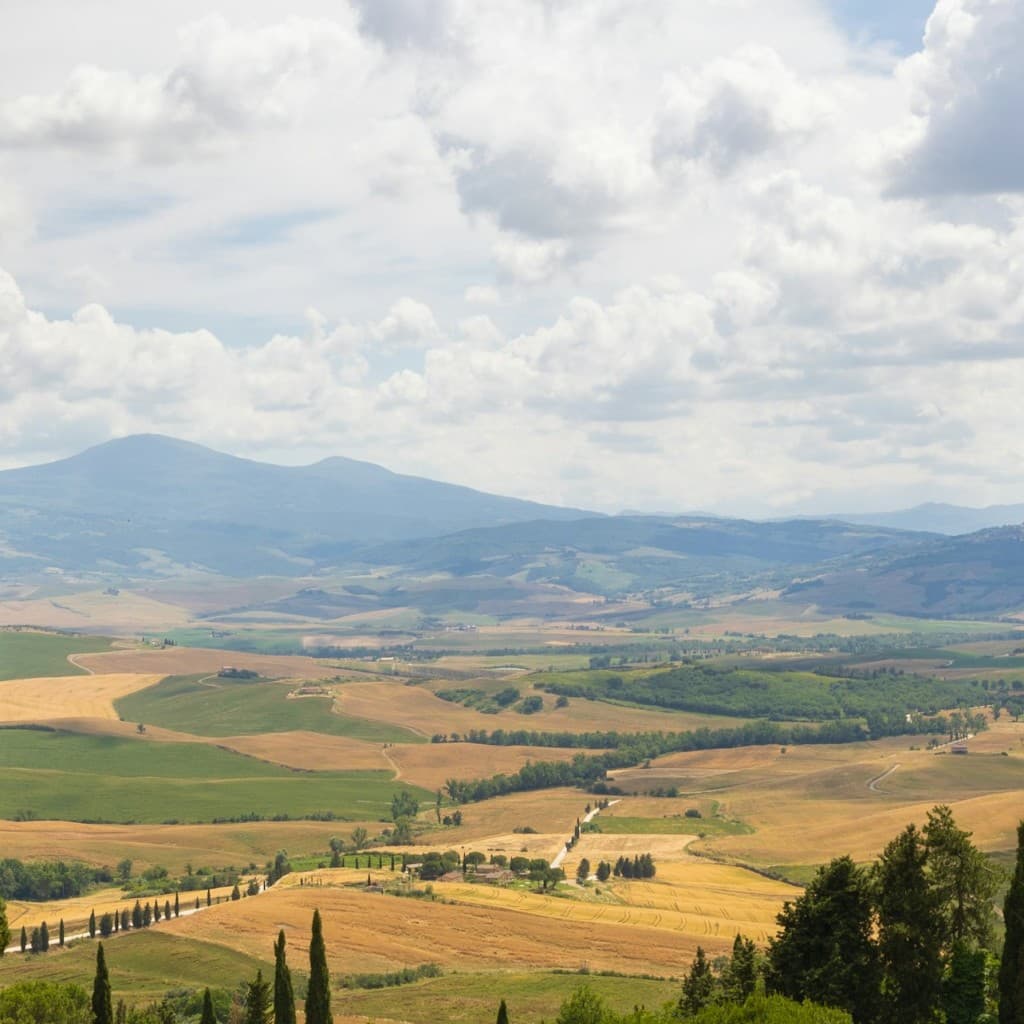 Monteriggioni & Val d'Orcia: Bus Transfer from Florence