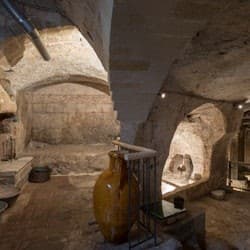 MOOM Matera Olive Oil Museum: Entry Ticket