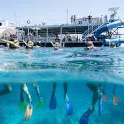 Moore Reef: Pontoon Tour from Cairns + Lunch + Snorkeling