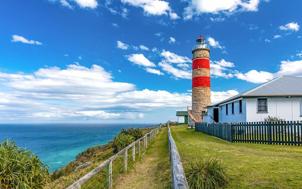 Moreton Island: Tangalooma Wrecks & Lighthouse Sightseeing Tour with Lunch (General)