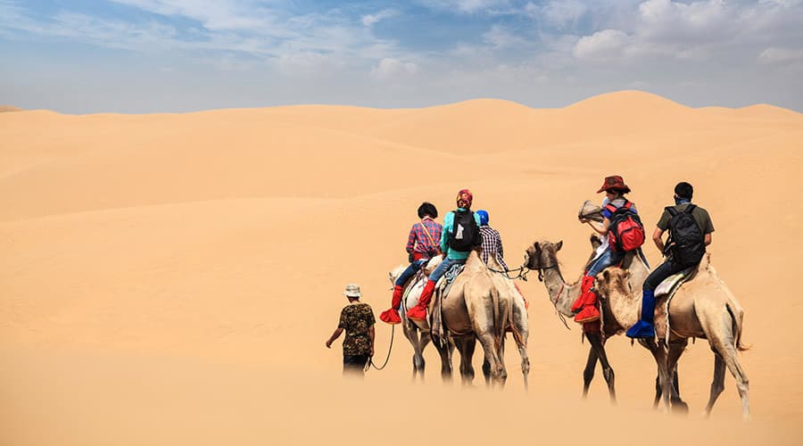 Morning Desert Safari Tour from Dubai (Morning Desert Safari Tour from Dubai with 200cc Polaris Ride)