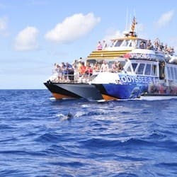 Morro Jable: Glass-Bottom Boat Tour + Lunch