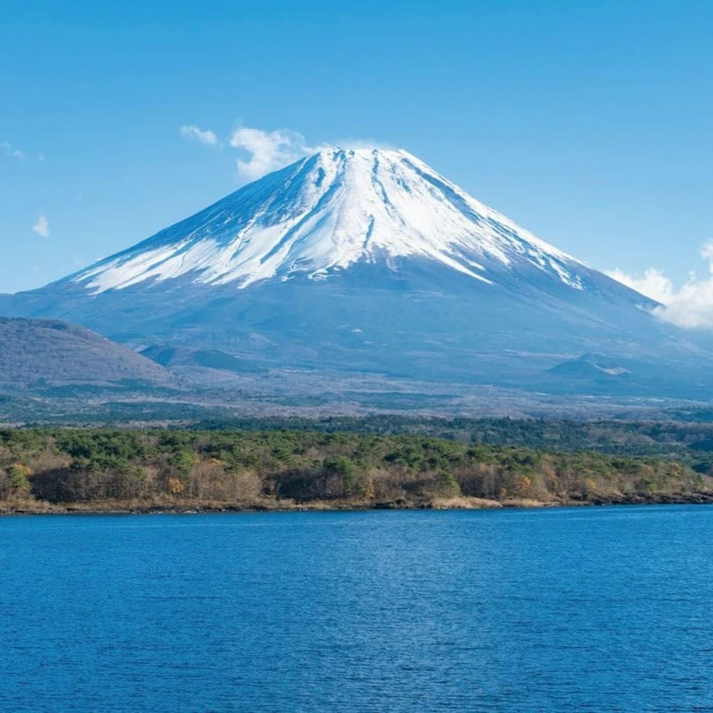 Mount Fuji & Arakura Sengen Shrine: Guided Day Tour from Tokyo + Lunch