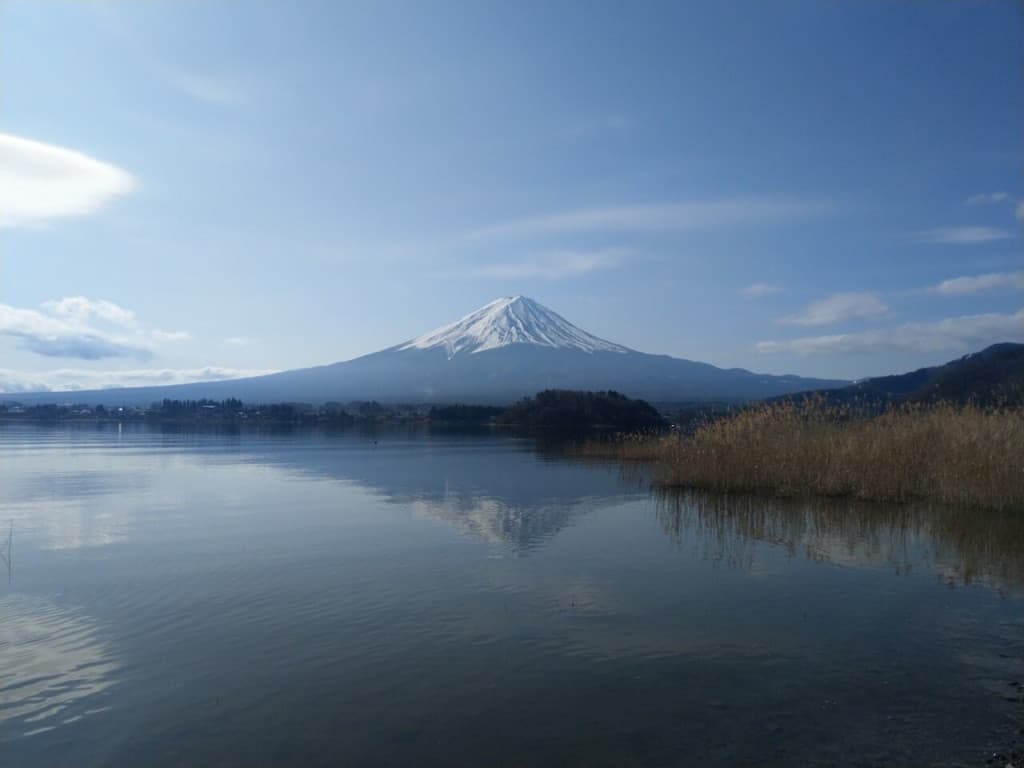 Mount Fuji Day Tour with Kawaguchiko Lake (Mount Fuji Day Tour with Kawaguchiko Lake (from Shinjuku))