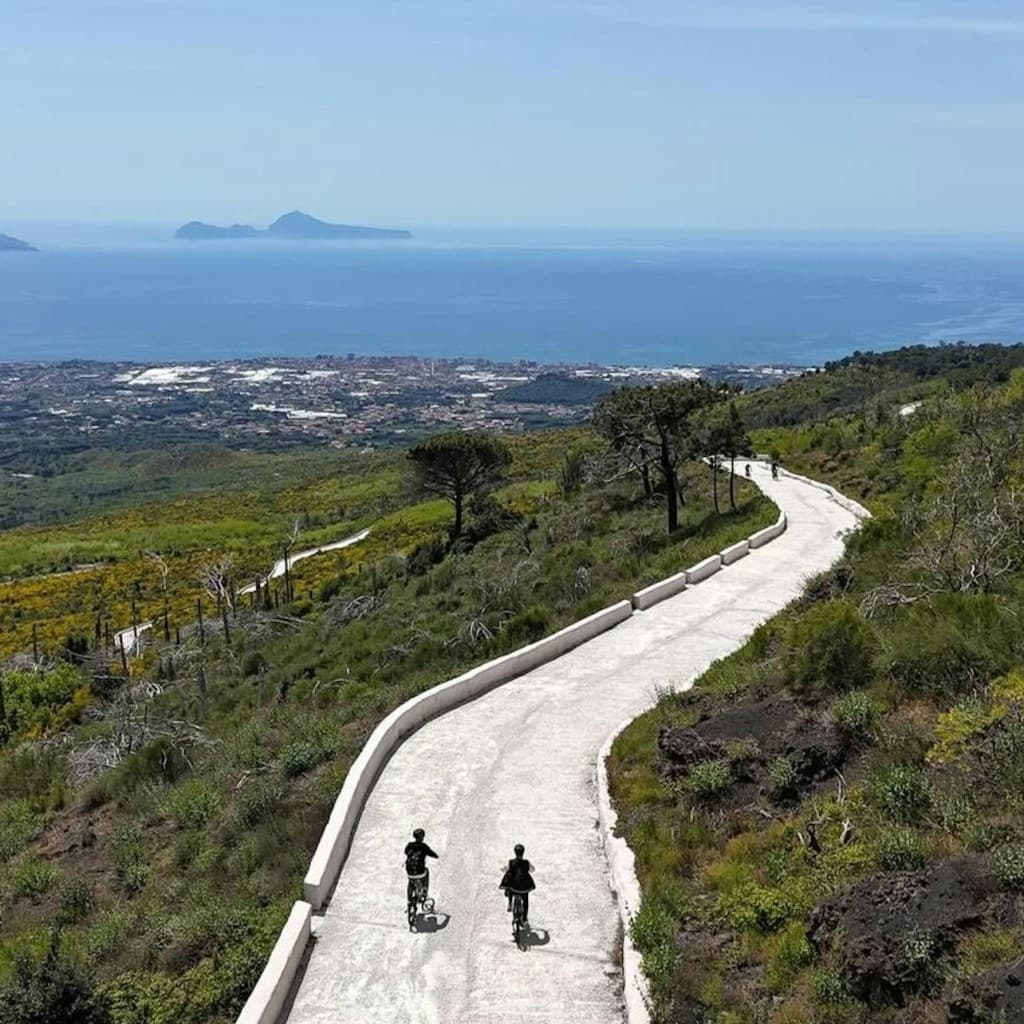 Mount Vesuvius: Skip The Line Ticket + Bike Tour + Roundtrip Train from Naples