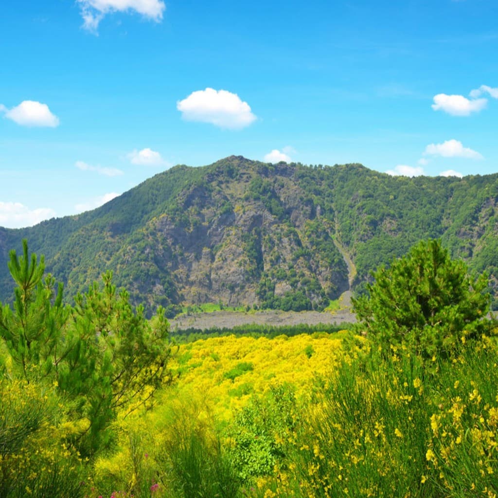 Mount Vesuvius: Skip The Line Ticket + Roundtrip from Naples