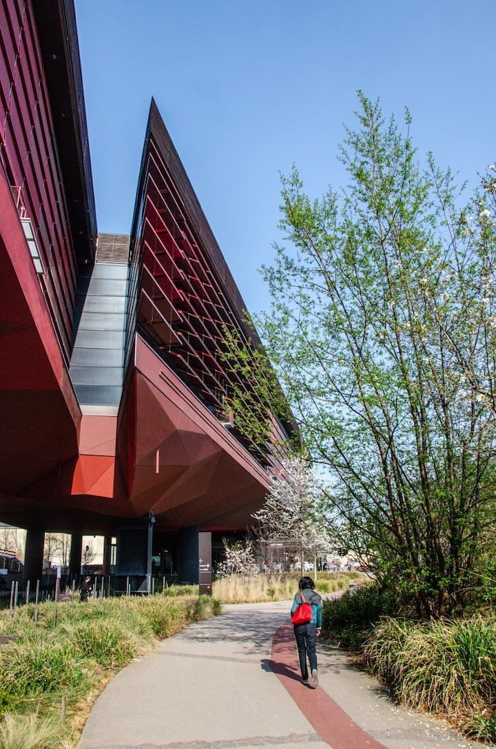 Musée du quai Branly Entry Ticket