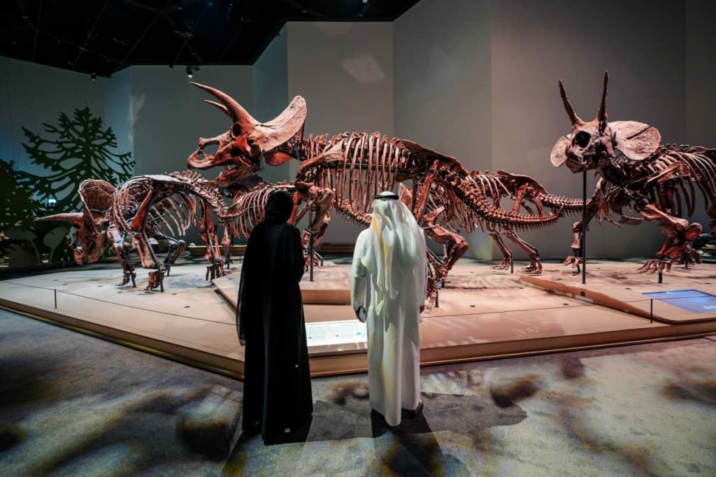 Natural History Museum Abu Dhabi Ticket (COMBO: Zayed National Museum + Natural History Museum Abu Dhabi (Open Dated))