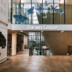 Natural History Museum London: Semi-Private Guided Tour