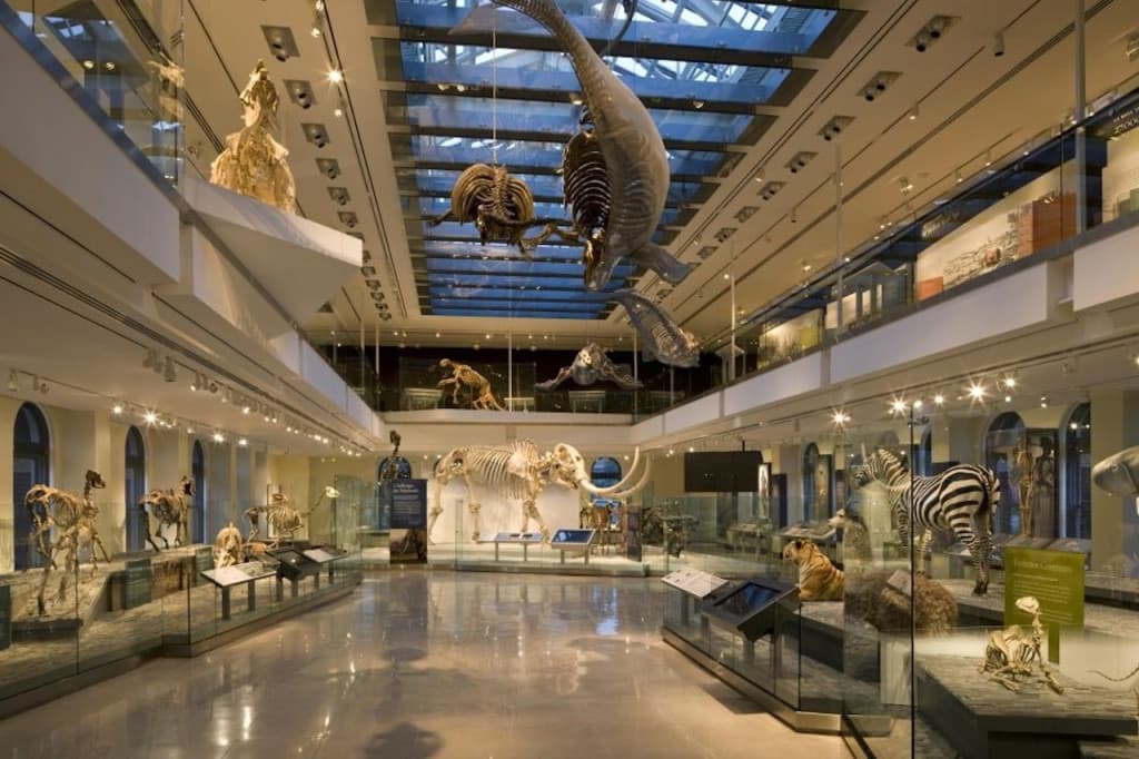 Natural History Museum of Los Angeles County (Natural History Museum of Los Angeles County - General Admission)