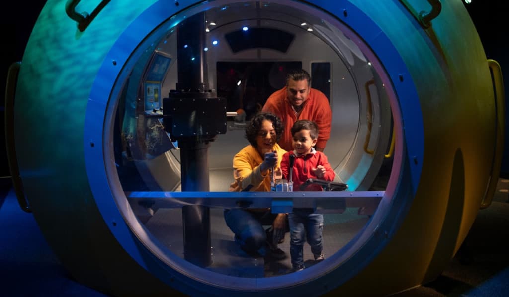 New York Aquarium (Admission with 4D Theatre)