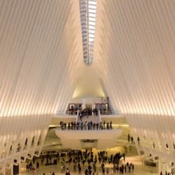 New York: One Day Guided Walking Tour