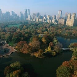 New York: Upper & Lower Manhattan Guided Tour in Spanish