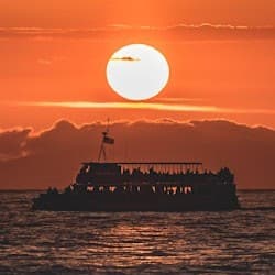 Newport Beach: 90-Min Sunset Cruise