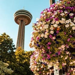 Niagara Falls: Guided Tour with Boat Cruise, Cave of the Winds & Skylon Tower